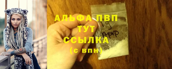 твердый Алексин