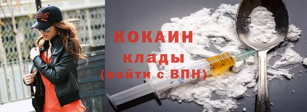 твердый Алексин
