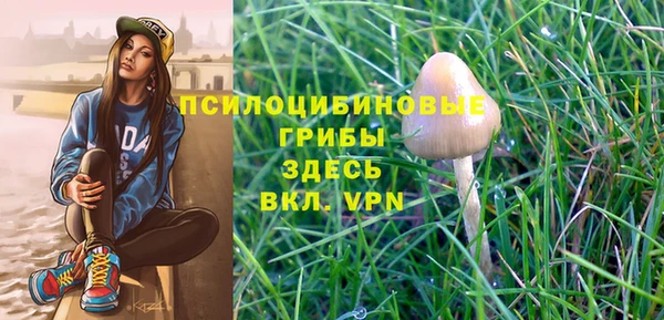 твердый Алексин