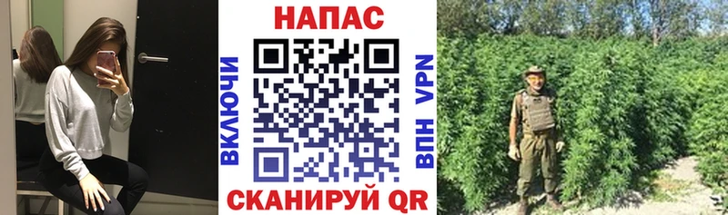 Бошки марихуана гибрид  Таштагол 